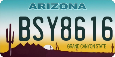 AZ license plate BSY8616