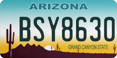 AZ license plate BSY8630