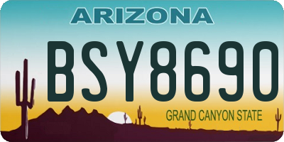 AZ license plate BSY8690