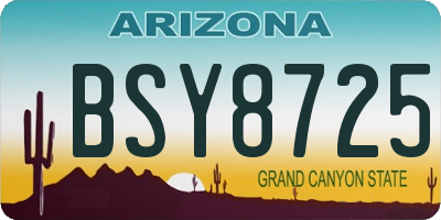 AZ license plate BSY8725