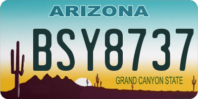 AZ license plate BSY8737