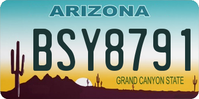 AZ license plate BSY8791