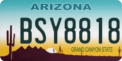 AZ license plate BSY8818