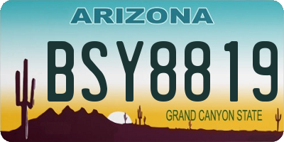 AZ license plate BSY8819