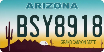 AZ license plate BSY8918