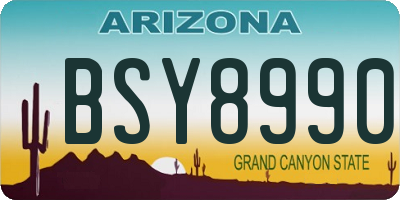 AZ license plate BSY8990