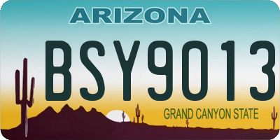 AZ license plate BSY9013
