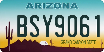 AZ license plate BSY9061