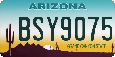 AZ license plate BSY9075