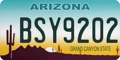 AZ license plate BSY9202