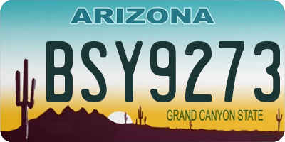 AZ license plate BSY9273