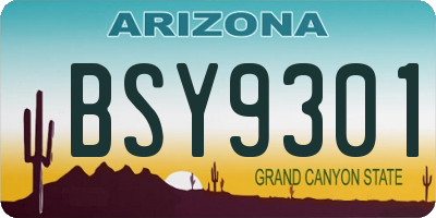 AZ license plate BSY9301