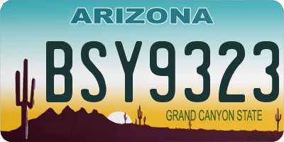 AZ license plate BSY9323