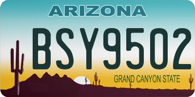 AZ license plate BSY9502