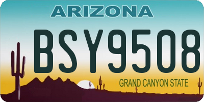 AZ license plate BSY9508