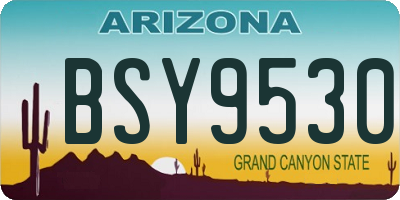 AZ license plate BSY9530