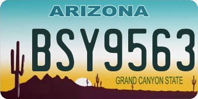 AZ license plate BSY9563