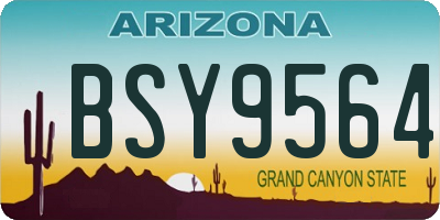 AZ license plate BSY9564