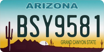 AZ license plate BSY9581