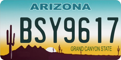 AZ license plate BSY9617