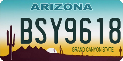 AZ license plate BSY9618