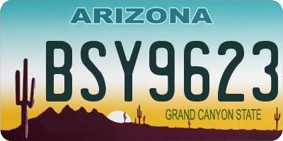AZ license plate BSY9623