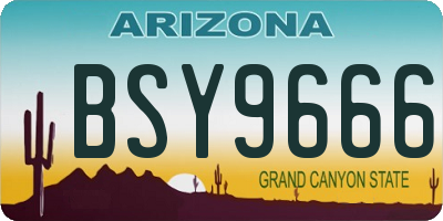 AZ license plate BSY9666