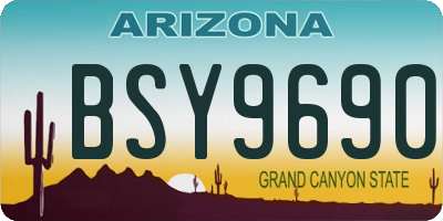 AZ license plate BSY9690