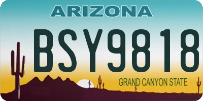 AZ license plate BSY9818
