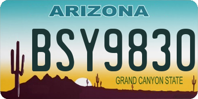 AZ license plate BSY9830