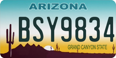 AZ license plate BSY9834