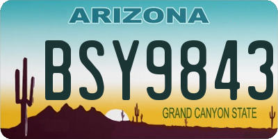 AZ license plate BSY9843