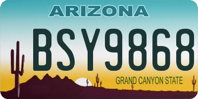 AZ license plate BSY9868