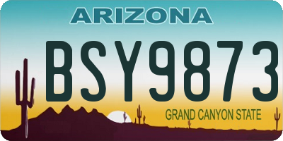 AZ license plate BSY9873