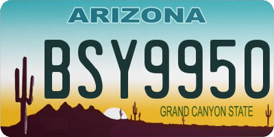 AZ license plate BSY9950