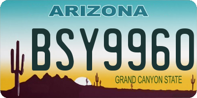 AZ license plate BSY9960