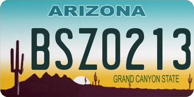 AZ license plate BSZ0213