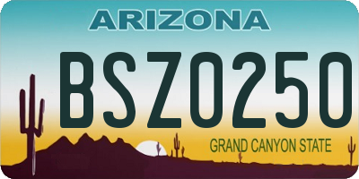AZ license plate BSZ0250