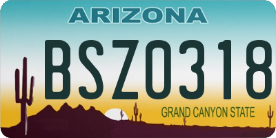 AZ license plate BSZ0318