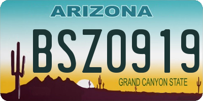 AZ license plate BSZ0919