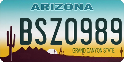 AZ license plate BSZ0989