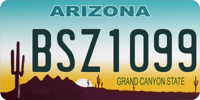 AZ license plate BSZ1099