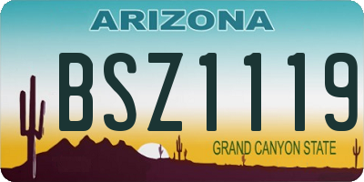 AZ license plate BSZ1119