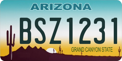 AZ license plate BSZ1231