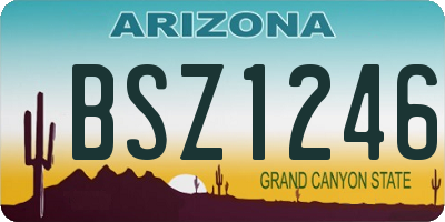 AZ license plate BSZ1246