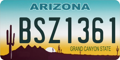 AZ license plate BSZ1361