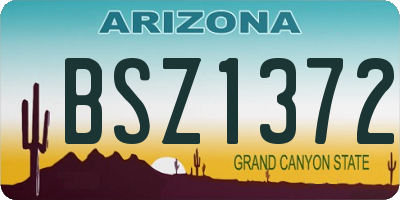 AZ license plate BSZ1372