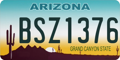 AZ license plate BSZ1376