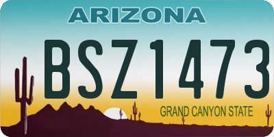 AZ license plate BSZ1473