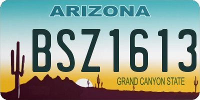 AZ license plate BSZ1613